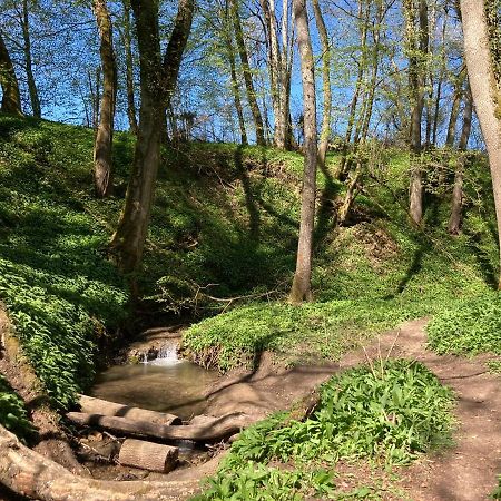 Seebrise Ferienwohnung, Auszeit In Ruhiger Lage, Bodensee Naehe, Privatparkplatz, Wlan, Smart Tv Рилазинген-Ворблинген Экстерьер фото